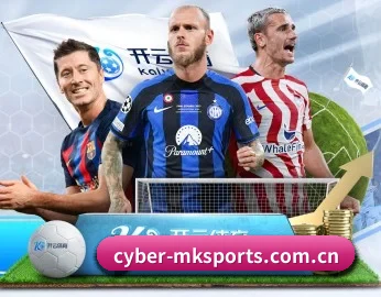 mk体育 APP 深度功能